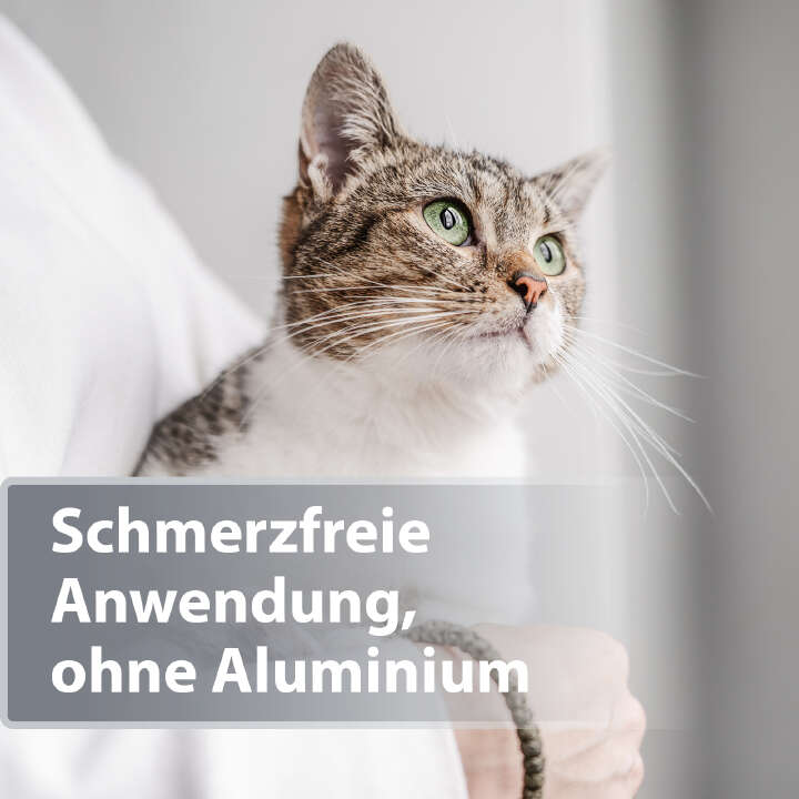 Felisept Hautpflege Mikro Silberspray für Katzen